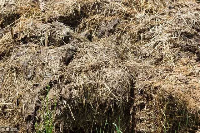 推肥場(chǎng)除臭