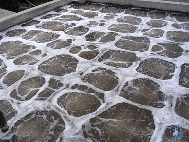 造紙廠污水除臭